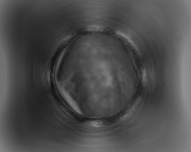 X0000092050692200710031043