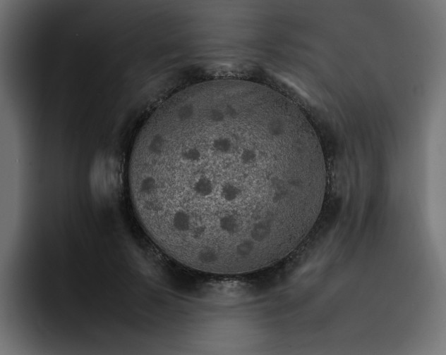 X0000092050695200710031043