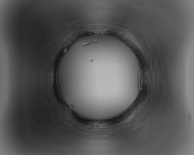 X0000092050697200710031043