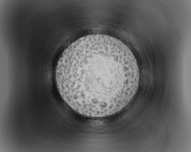 X0000092050698200710031043