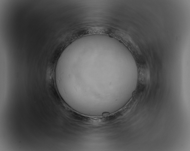 X0000092050701200710031043