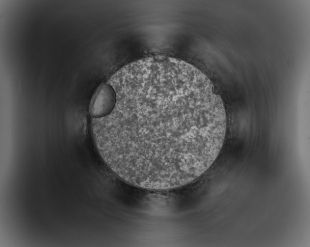 X0000092050703200710031042