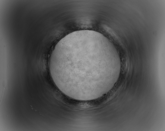 X0000092050704200710031042