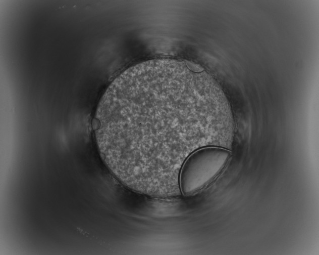 X0000092050707200710031042