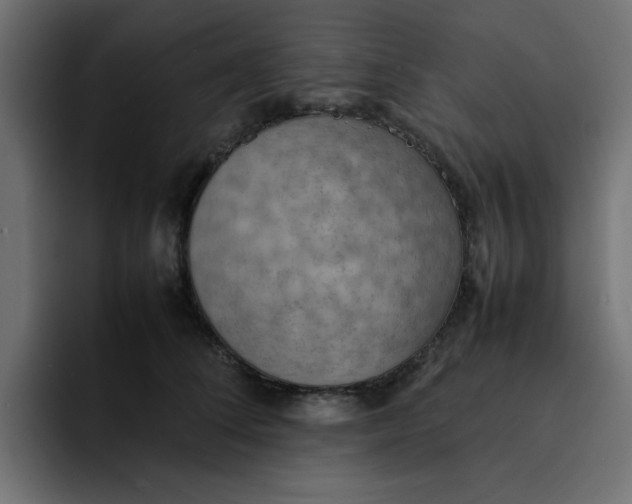 X0000092050708200710031042