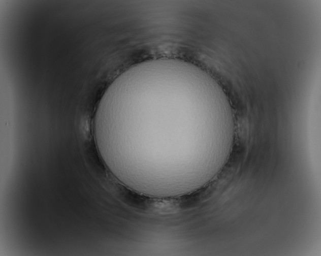 X0000092050709200710031042