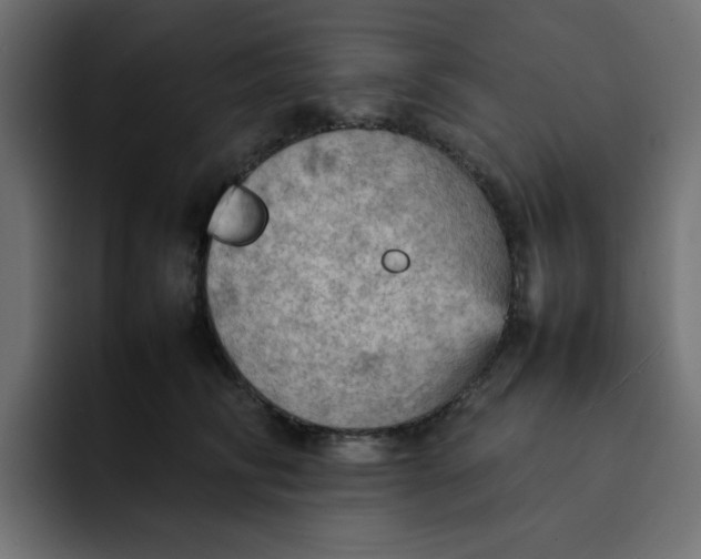 X0000092050710200710031042