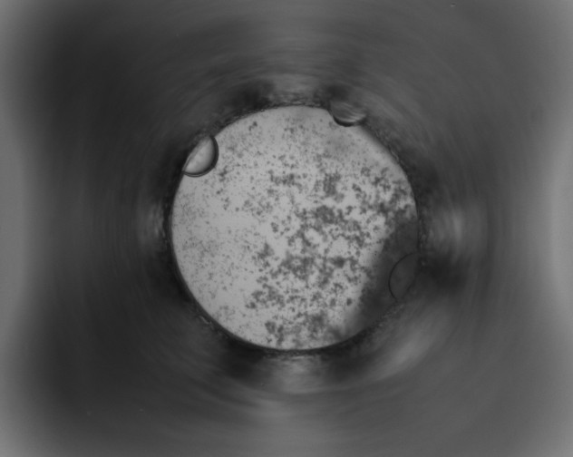 X0000092050711200710031042