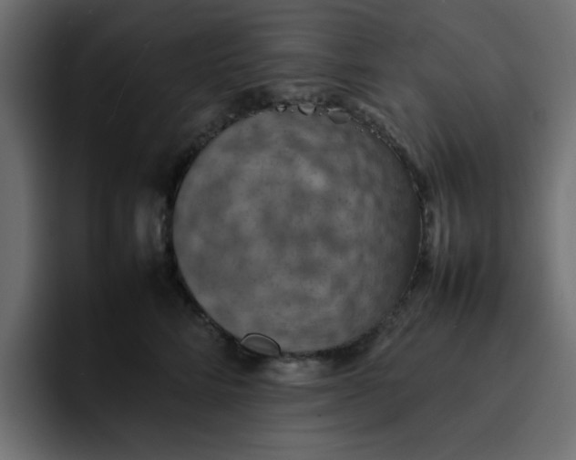 X0000092050712200710031042