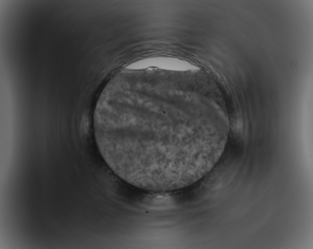 X0000092050715200710031042