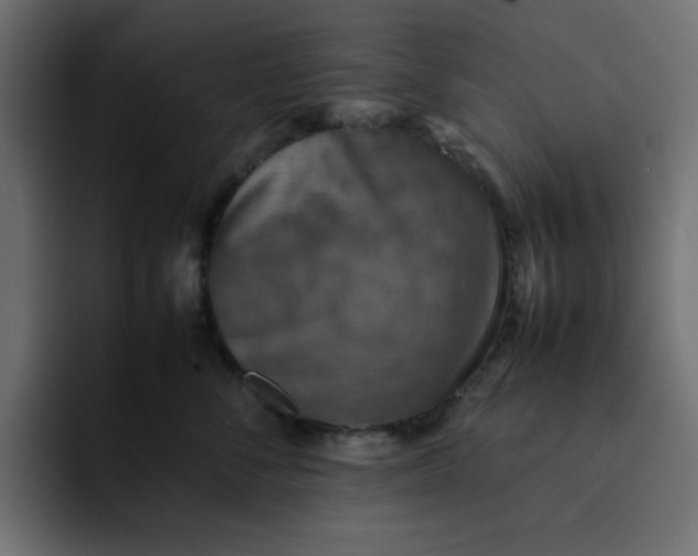 X0000092050716200710031042