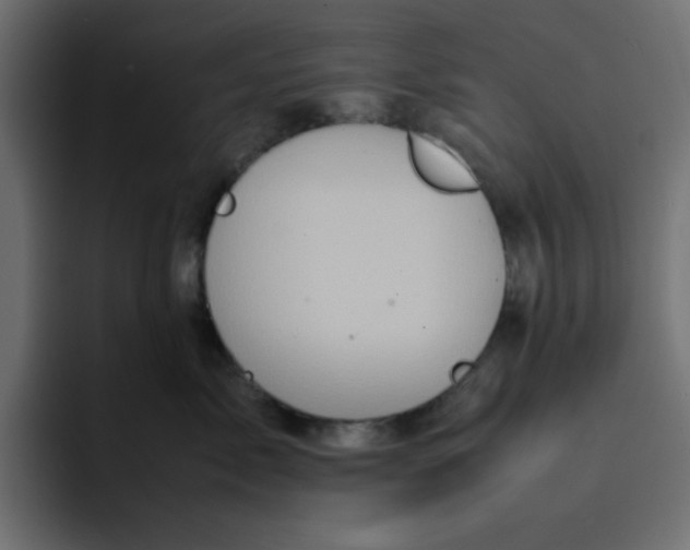 X0000092050717200710031042