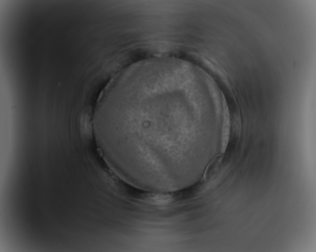 X0000092050719200710031042