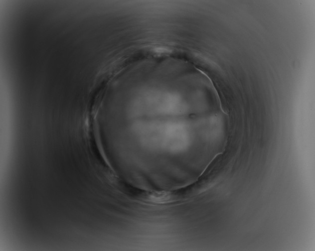 X0000092050720200710031042