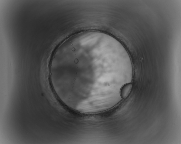 X0000092050721200710031042