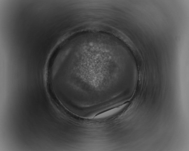 X0000092050722200710031042