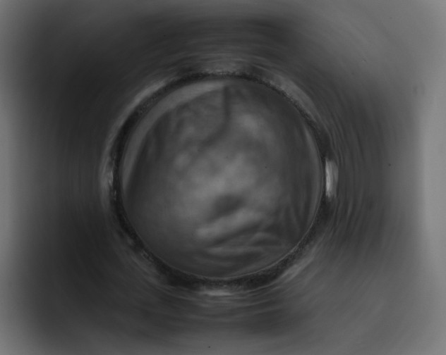 X0000092050723200710031042