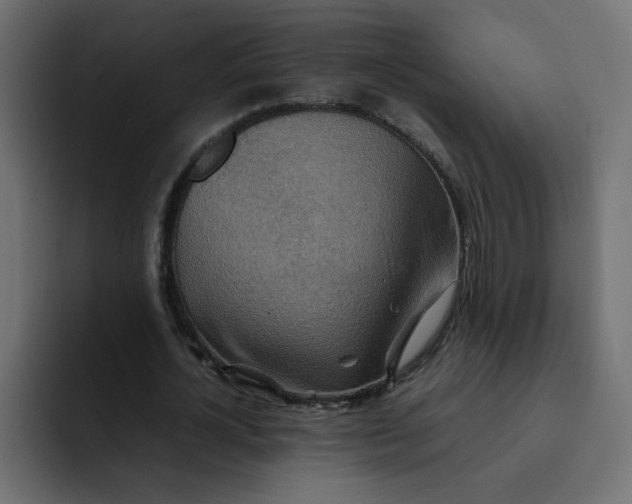 X0000092050724200710031042