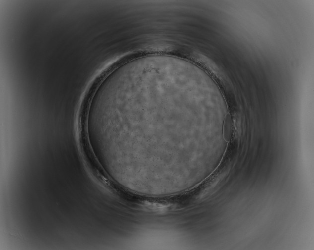 X0000092050726200710031042