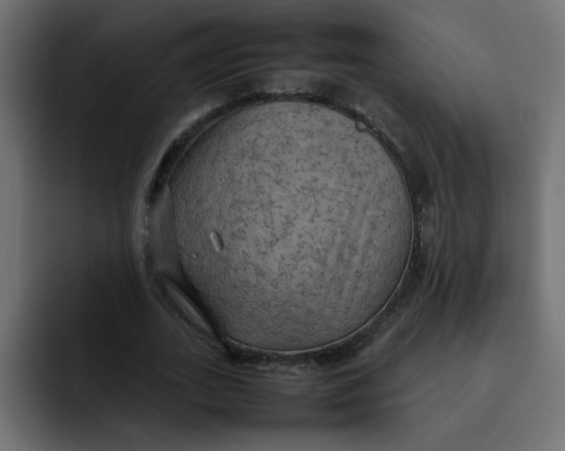 X0000092050727200710031042