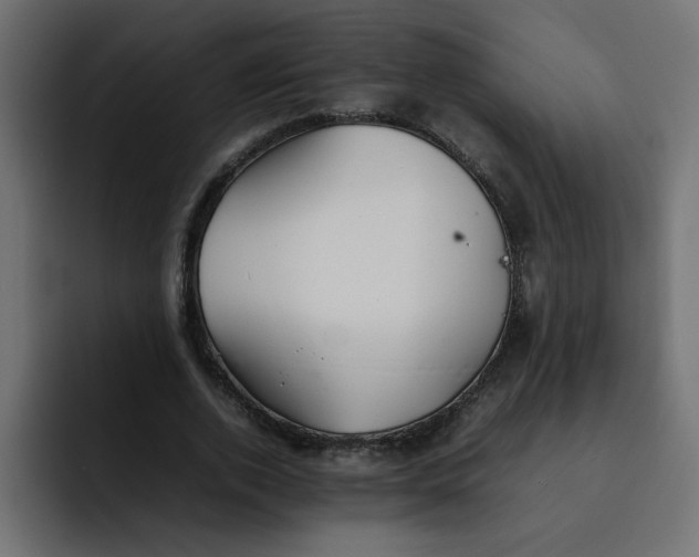 X0000092050728200710031042