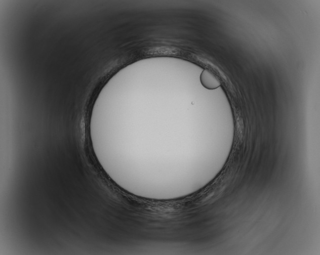 X0000092050729200710031042