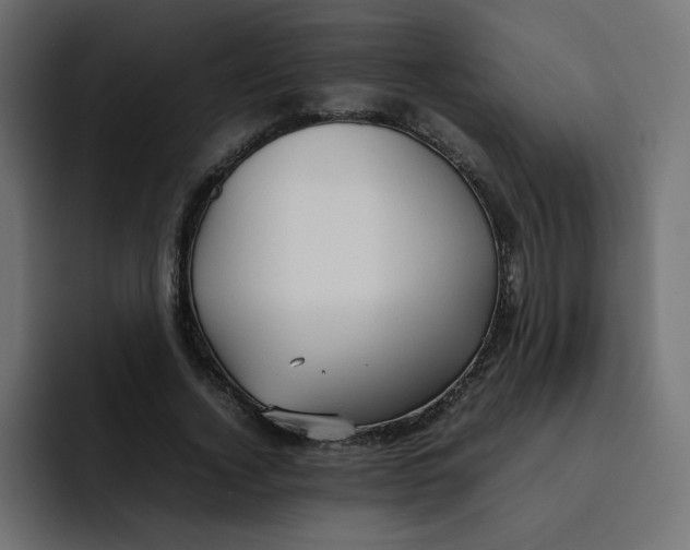 X0000092050732200710031042