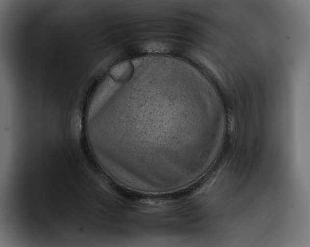 X0000092050733200710031042