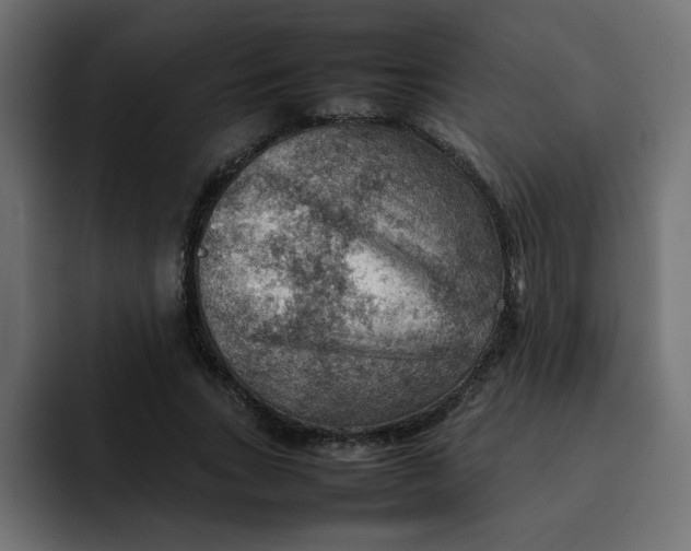 X0000092050735200710031042