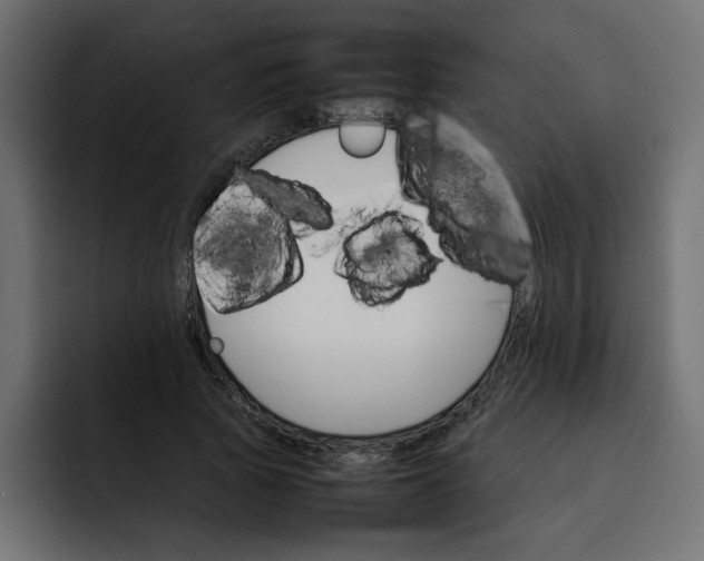 X0000092050737200710031042