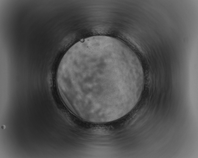 X0000092050738200710031042