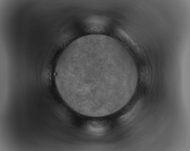 X0000092050739200710031042