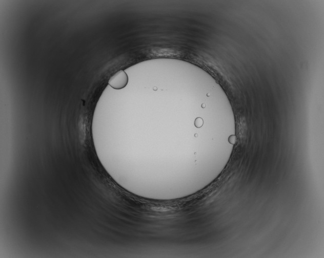 X0000092050741200710031042