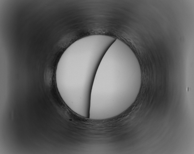 X0000092050742200710031042