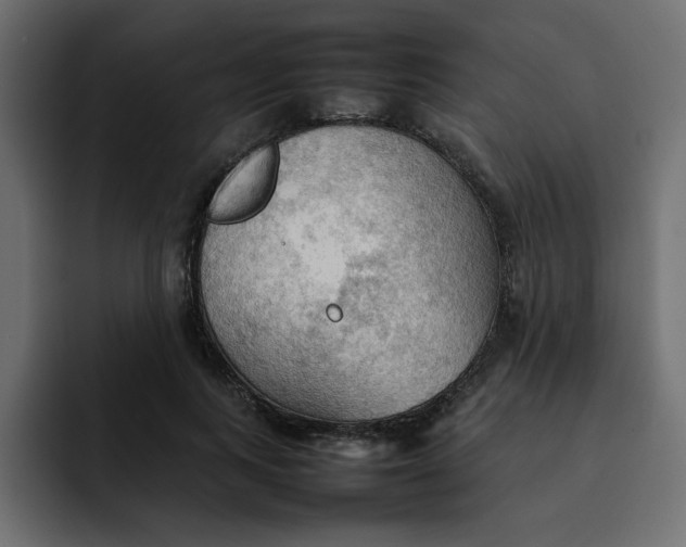 X0000092050743200710031042