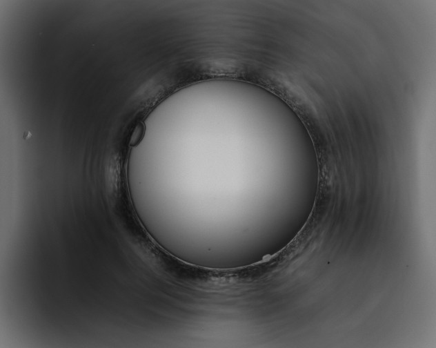 X0000092050744200710031042