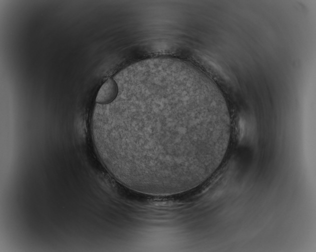 X0000092050746200710031042