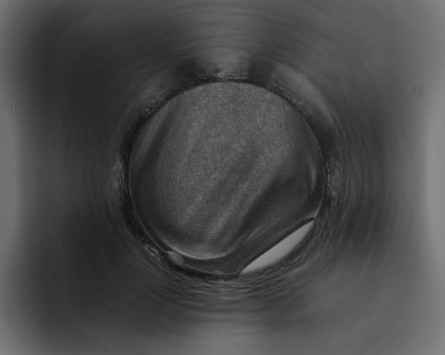 X0000092050748200710031042