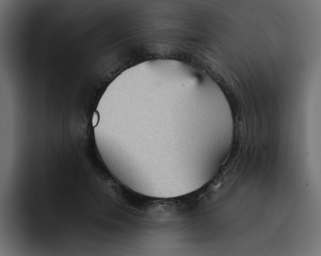 X0000092050750200710031042