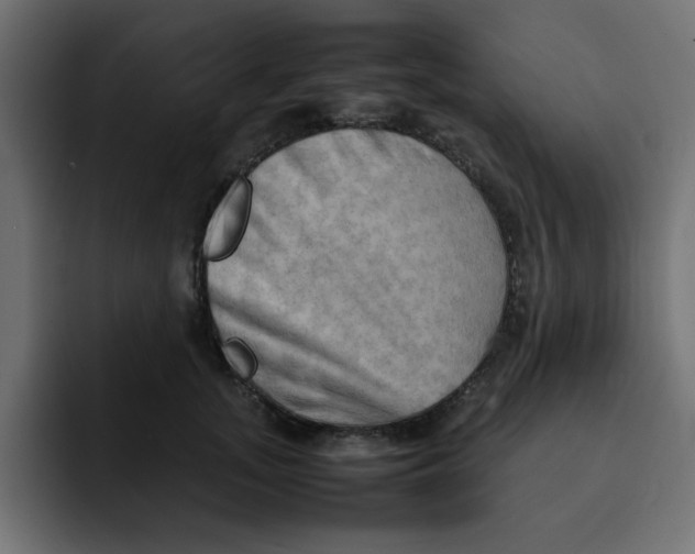 X0000092050755200710031042