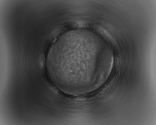 X0000092050760200710031042