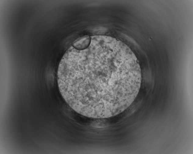 X0000092050761200710031042