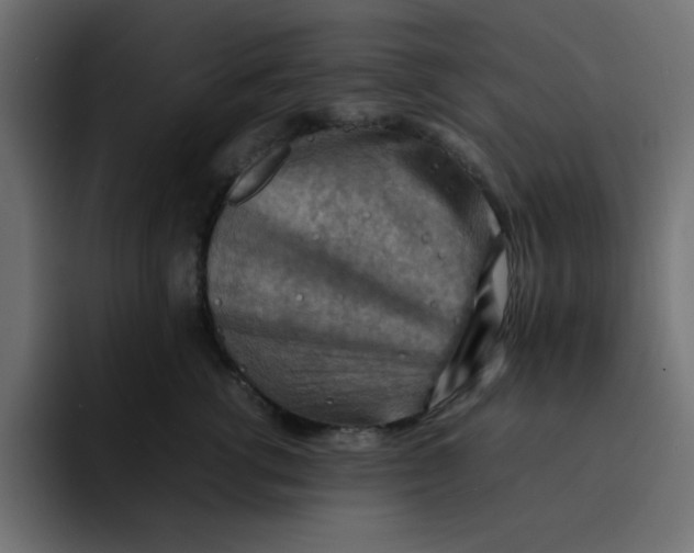 X0000092050762200710031042