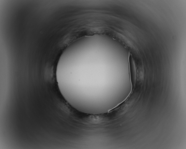 X0000092050764200710031042