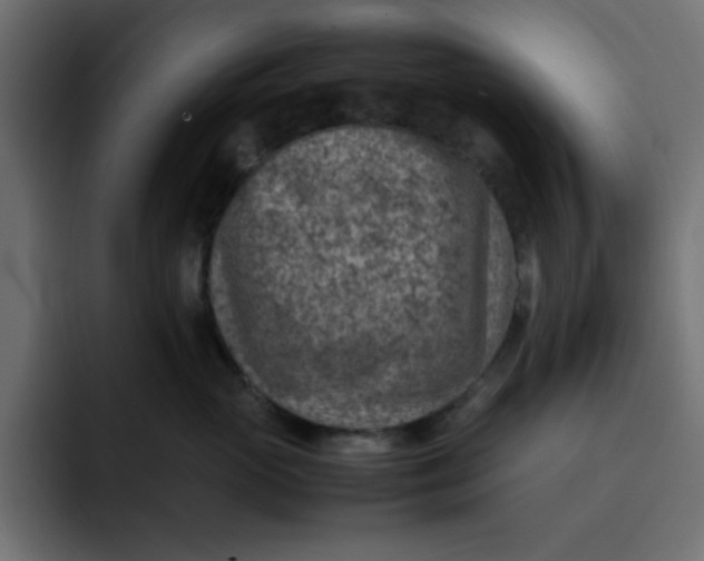 X0000092050765200710031042