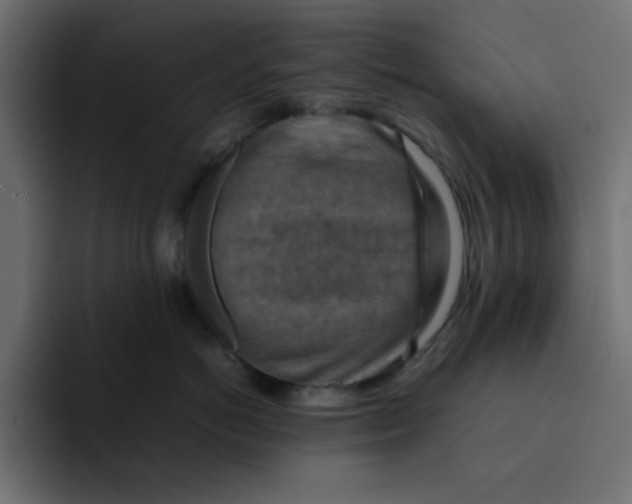 X0000092050766200710031042