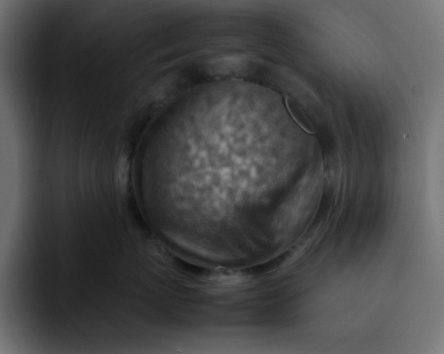 X0000092050767200710031042