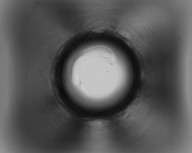 X0000092050769200710031042