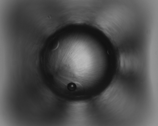 X0000092050770200710031042