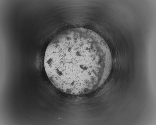 X0000092050772200710031042